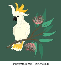 Cockatoo sits on a branch on a green background. Vector graphics.