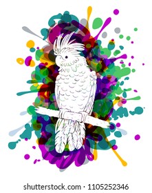Cockatoo sitting on the branch with colorful paint blot behind