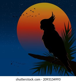 Cockatoo al atardecer. Silueta de loro sobre fondo de sol. Cockatoo sentado en una palmera. El loro australiano sobre un gran sol rojo naranja y el cielo estrellado como telón de fondo. Ave tropical. Ilustración del vector