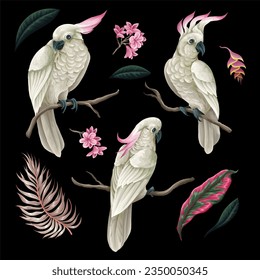 Cockatoo, tropical leaves and flowers isolated. Vector