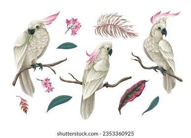 Cockatoo, tropical leaves and flowers isolated. Vector