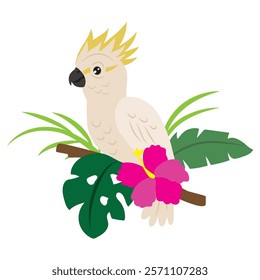 Cockatoo vector cartoon flat style illustration