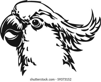 Cockatoo Vector Illustration