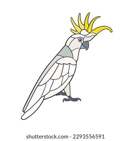 Cockatoo. Vector illustration isolated on white background.