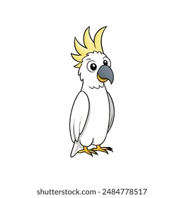 Cockatoo Vector illustration With White Background