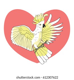 Cockatoo yellow white wings flying Heart love .Vector illustration