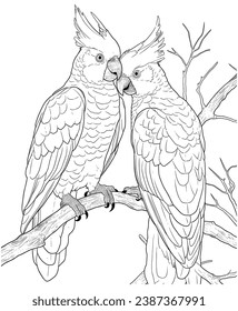 cockatoos coloring page for adults