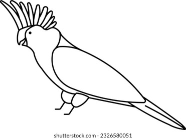 Cockatoos parrot cockatiel macaw bird Outline