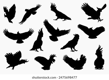 cockatoos silhouette vector set design