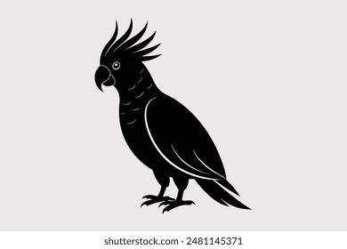 Cockatoo-Vector Images and Illustrations for Free Download