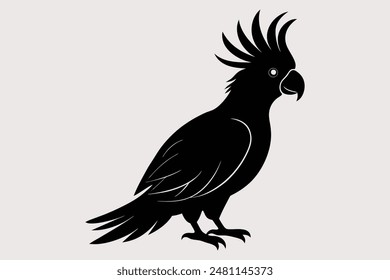 Cockatoo-Vector Images and Illustrations for Free Download