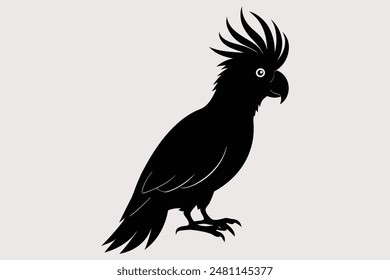 Cockatoo-Vector Images and Illustrations for Free Download