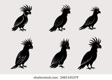 Cockatoo-Vector Images and Illustrations for Free Download