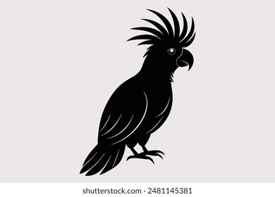 Cockatoo-Vector Images and Illustrations for Free Download