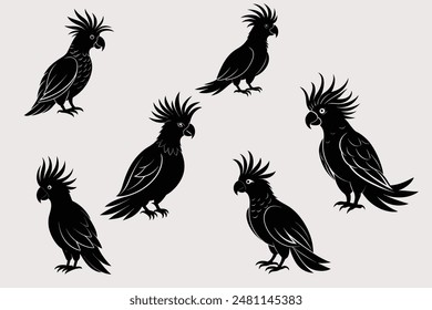 Cockatoo-Vector Images and Illustrations for Free Download