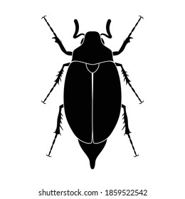 Cockchafer bug icon, Melolontha beetle, vector illustration