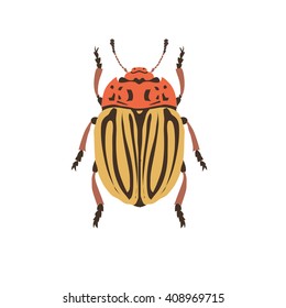 Cockchafer vector silhouette. Chafer on white background. 