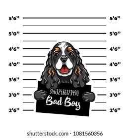 Cocker Spaniel Bad Boy. Dog Criminal. Arrest Photo. Police Records. Dog Prison. Police Mugshot Background. Vector Illustration