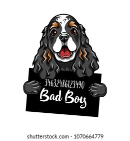 Cocker Spaniel criminal. Dog prisoner. Police placard, Police mugshot, lineup. Arrest photo. Mugshot photo Vector illustration