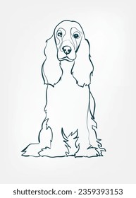 Cocker Spaniel dog breed animal vector line art one line sketch outline