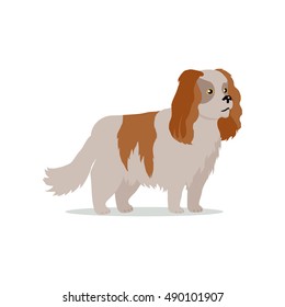 Cocker spaniel dog breed flat design vector. Purebred pet. Domestic friend and companion animal illustration. For pet shop ad, animalistic hobby concept, breeding illustration. Cute canine portrait. 