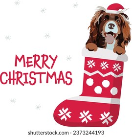 Perro coquetón en una represa de Navidad. Graciosa tarjeta de saludo de vacaciones con una linda cabeza de perro con patas. Postal de año nuevo. Regalo de invierno, mascota en calcetines, diseño de Navidad con mascota favorita. Cabeza aterradora.