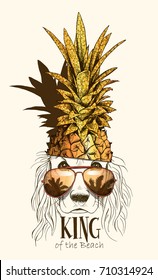 Cocker Spaniel dog in a gold Pineapple crown and in a sunglasses. Vector illustration.