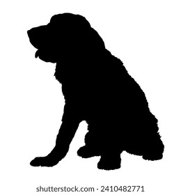 Cocker Spaniel Dog on the move. Dog in different poses. jumps runs. The dog is sitting. The dog is lying down playing