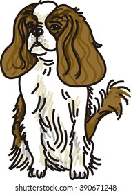 Cocker Spaniel Dog Sitting Isolated on White Background.