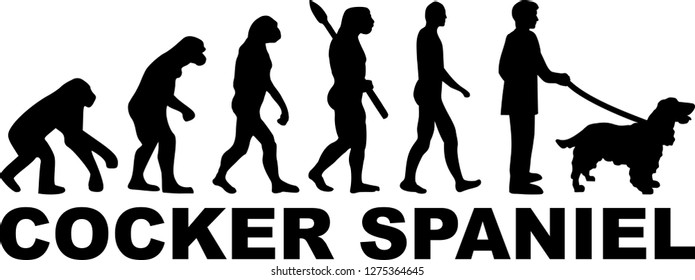 Cocker Spaniel evolution with name