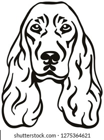 Cocker Spaniel head in black