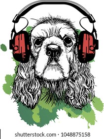 cocker spaniel in headphones. Print on t-shirt, vector illustration