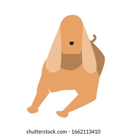 Cocker Spaniel with long ears is isolated on a white background for design. Flat scandinavian doodle dog as vector stock illustration. exhibition and breed concept
