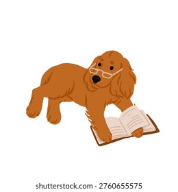 Cocker Spaniel lover set with cute dogs, puppy characters sleeping, playing with toy and reading book. Flat vector illustration of pet breed collection isolated on background