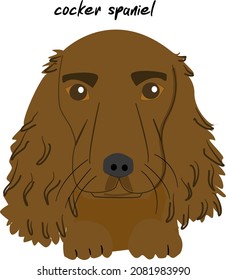 Cocker spaniel puppy cute animal. Flat style