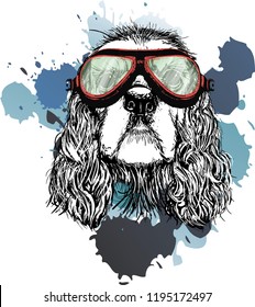 cocker spaniel in the tankman's glasses with spilled paint on the background