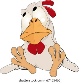 Cockerel