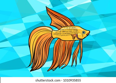 Cockerel aquarium fish. Pop art retro vector illustration