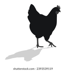 Сock, cockerel, rooster, chicken, hen, chick, position standing, poultry silhouette hand drawn