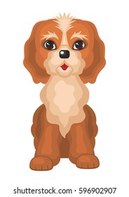 Cockerpoo . Vector image of a cute purebred dogs in cartoon style.