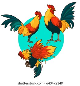 Cockfight set 