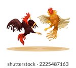 Cockfight traditional animal fight game illustration vector 