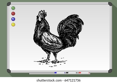 Cock.Hand drawn vector stock illustration. Black and white whiteboard drawing.