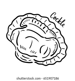 Cockle. Hand drawn vector 