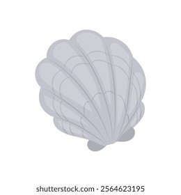 Cockle Seafood Vector Illustration, Isolated