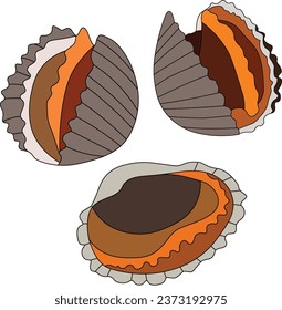 Cockle Seafood Vector White Background Stock Vector