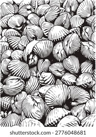 Cockle shell black cockle shell line art white background.
