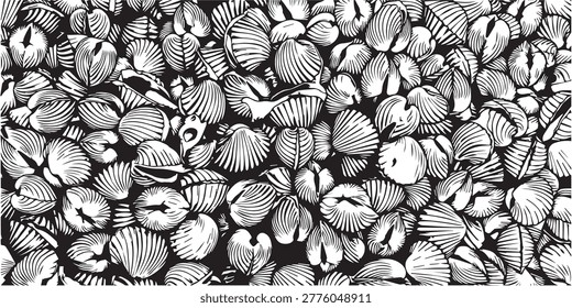 Cockle shell, black cockle shell line art, white background.
