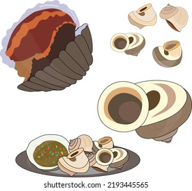 cockle and  snails food vector