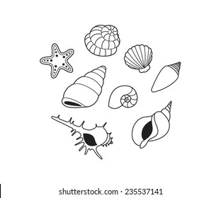 Cockleshell black